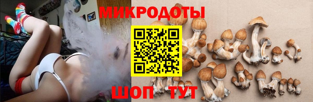 Галлюциногенные грибы GOLDEN TEACHER Отрадное