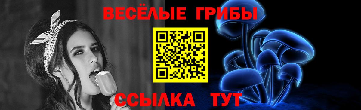 Псилоцибиновые грибы Psilocybe  Вход с VPN  Отрадное 